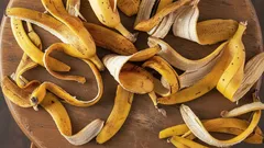 Un tesoro para tus plantas: cómo usar cáscara de plátano como fertilizante